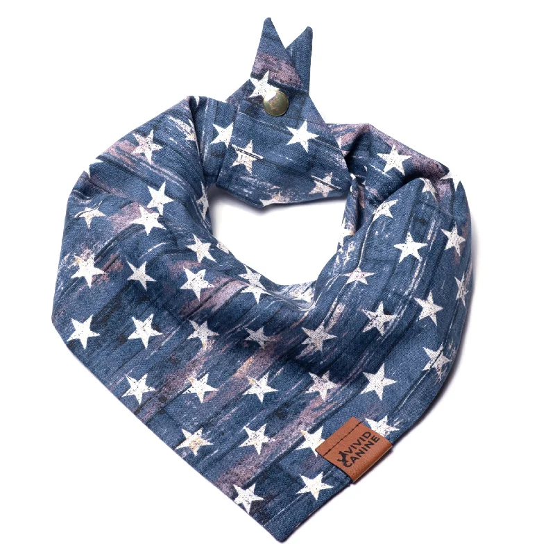 Dog Bandana - Rustic Stars on Blue