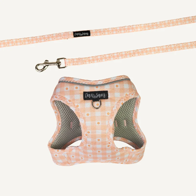 Dan & Sam - Cat Step-in Harness & Lead (Daisy Picnic) - Small