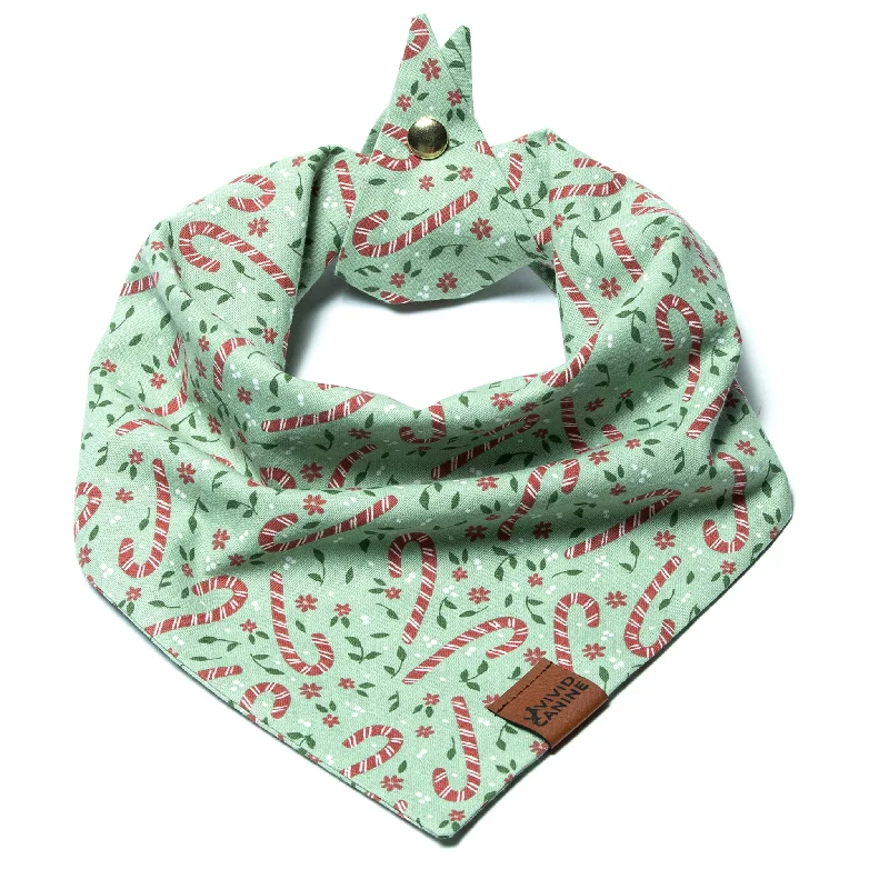 Dog Bandana - Candy Cane