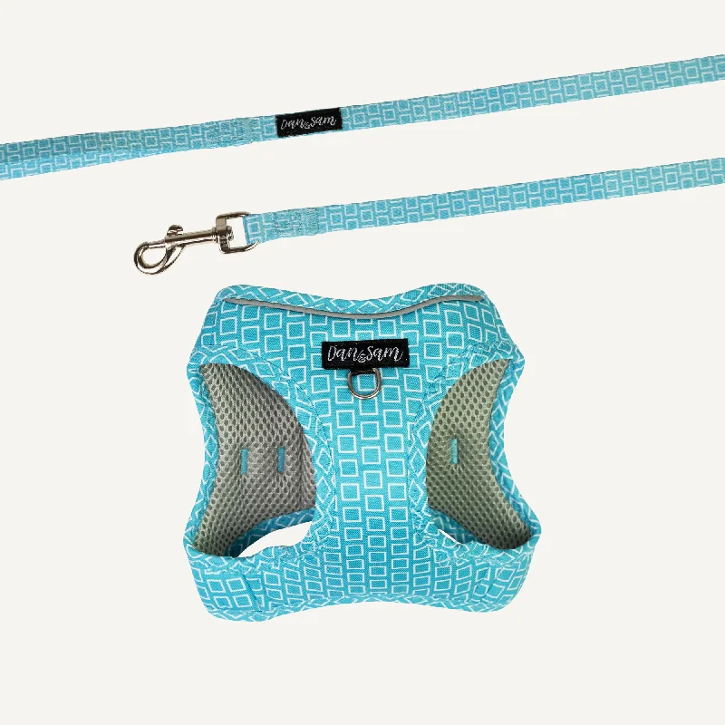 Dan & Sam - Cat Step-in Harness & Lead (Grooving) - Large