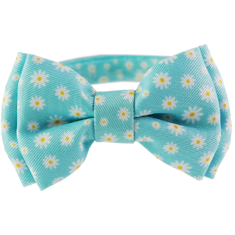 Dan & Sam - Cat Collar & Bowtie (Chamomile)