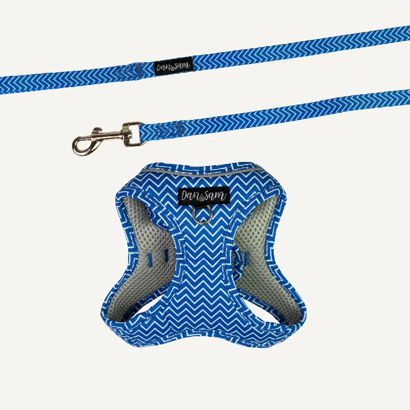 Dan & Sam - Cat Step-in Harness & Lead (Ziggy) - Small