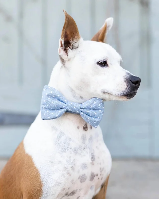 Chambray Dots Dog Bow Tie (Made in the USA) (FINAL SALE)