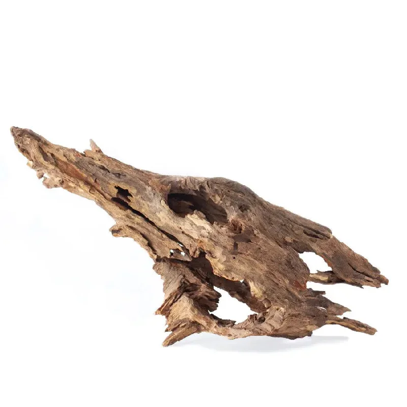 Galapagos Natural Driftwood Hollow Tree Root 12-16 in