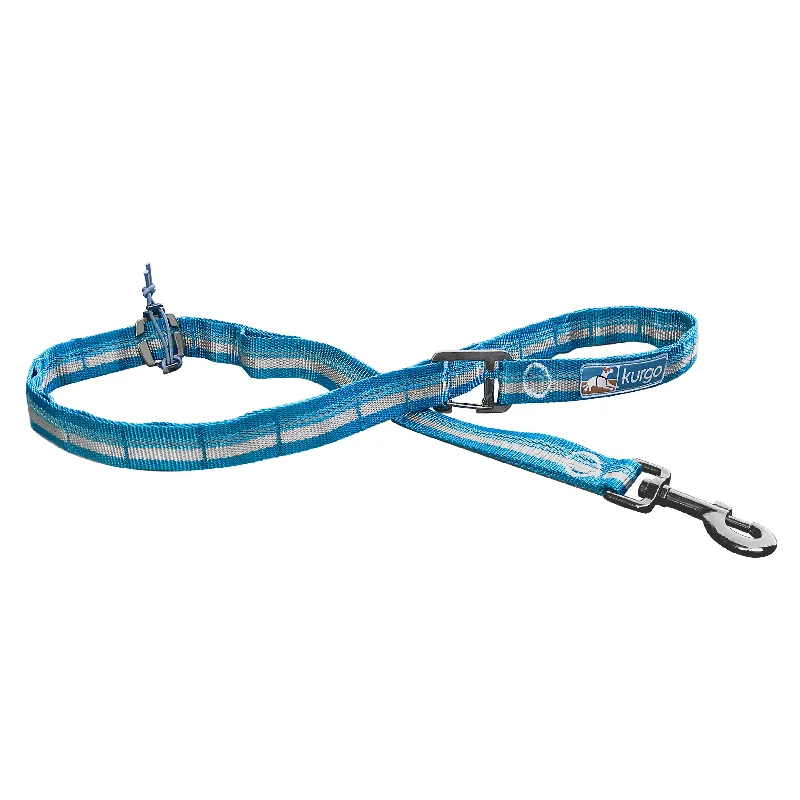 Kurgo RSG Stub Dog Lead