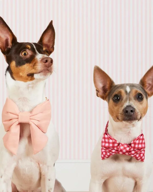 Raspberry Gingham Dog Bow Tie (Made in the USA) (FINAL SALE)