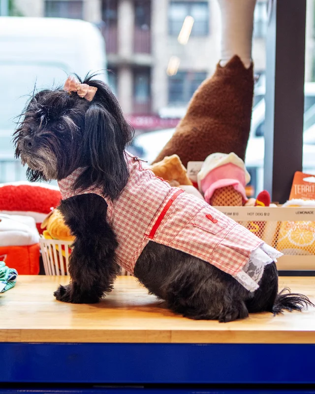 Red Check Picnic Dress for Dogs (FINAL SALE)