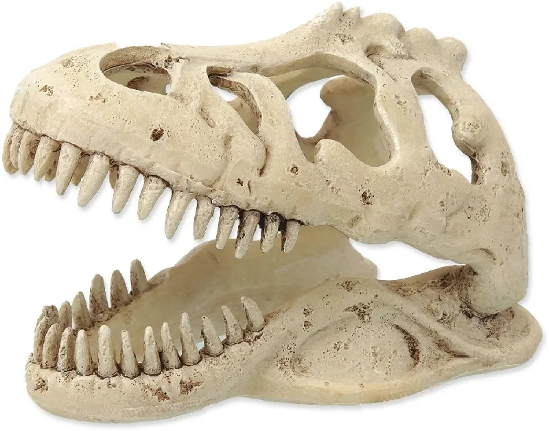 REPTI PLANET Decor pentru terariu Craniu T-REX, 13,3x8,5x9cm