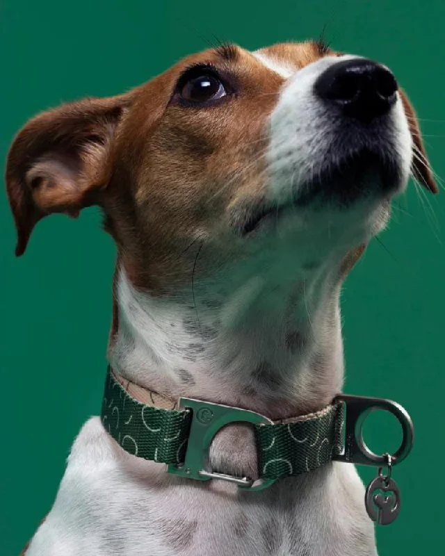 Sabine Vegan Dog Collar (FINAL SALE)