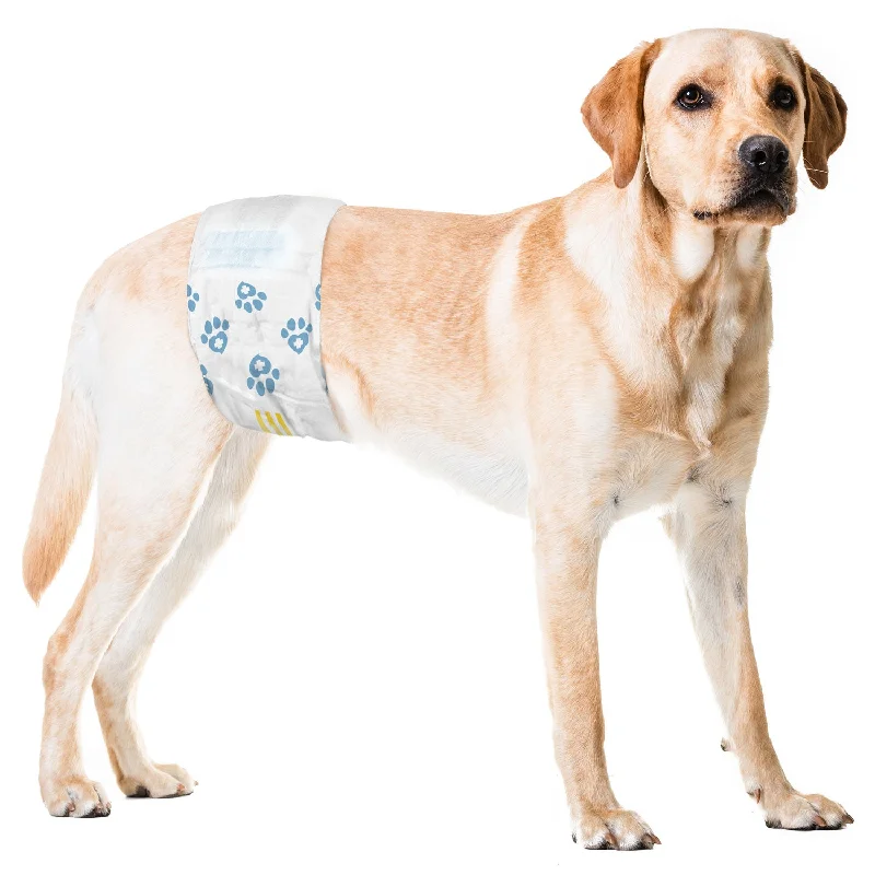 ValueWrap Male Wraps, Disposable Dog Diapers, 1-Tab Large, 24 Count