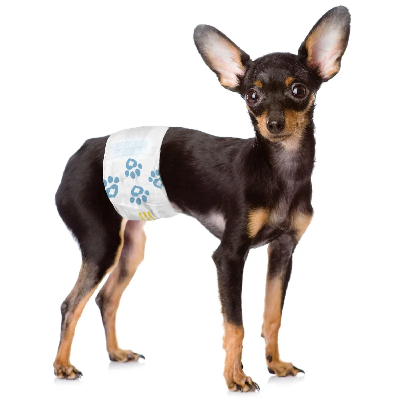 ValueWrap Male Wraps, Disposable Dog Diapers, 1-Tab X-Small, 72 Count