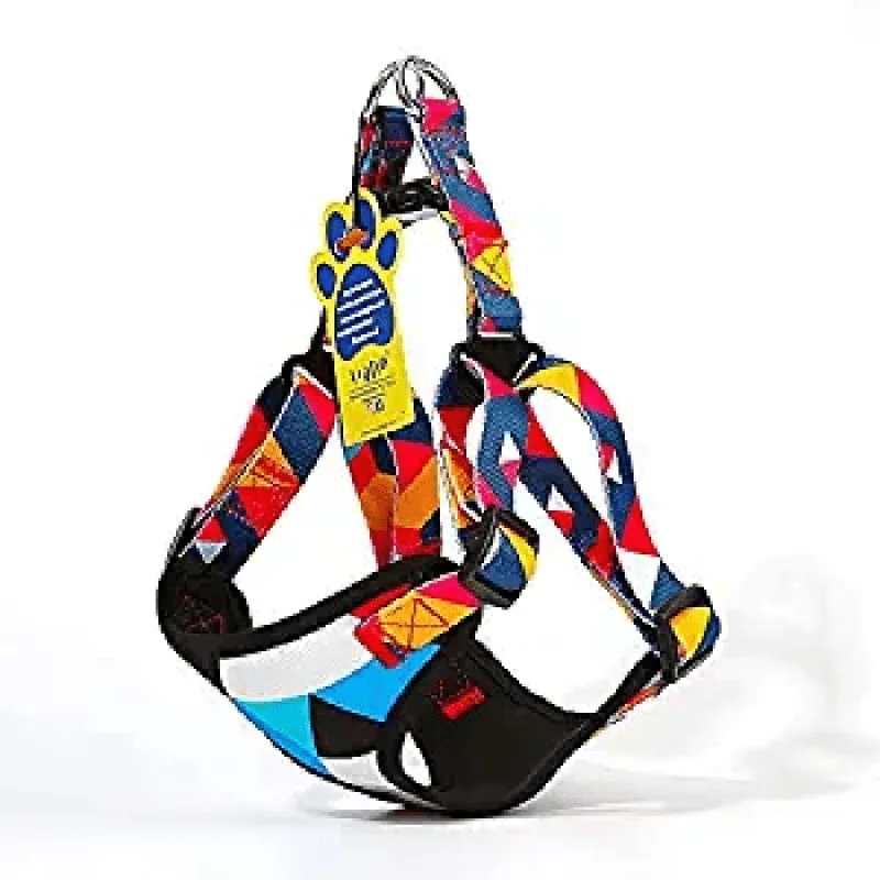 A Plus A Pets Rainbow Vest Style Step in Harness for Dogs