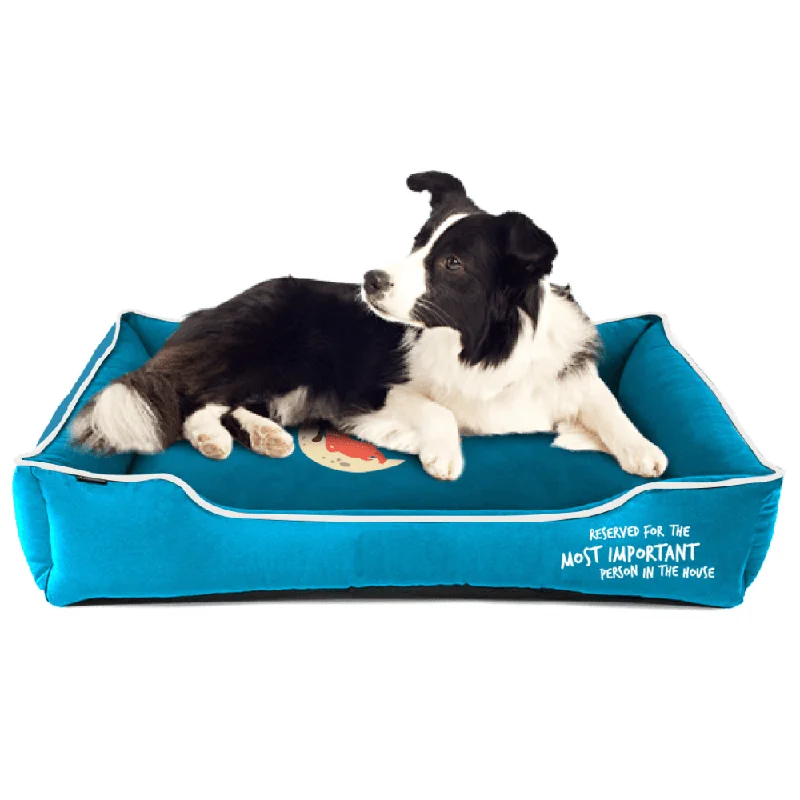 Captain Zack Dream Bedzzz for Dogs (Blue)