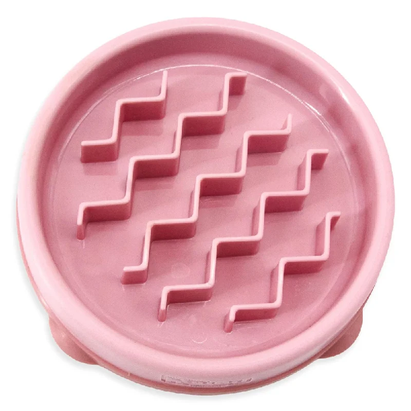 Outward Hound Fun Feeder Slow Feeder Bowl for Dogs (Pink)