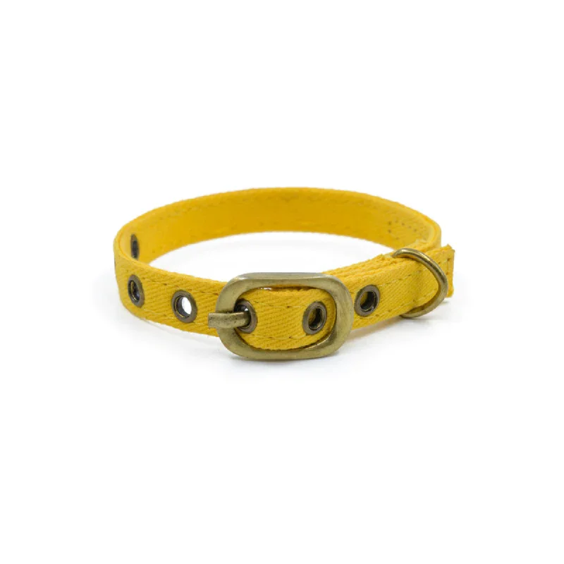 PetWale Collar for Cats (Yellow)