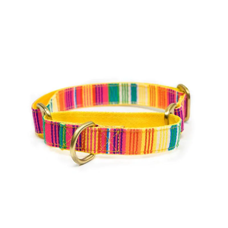 PetWale Martingale Collar for Dogs (Colourful Stripes)