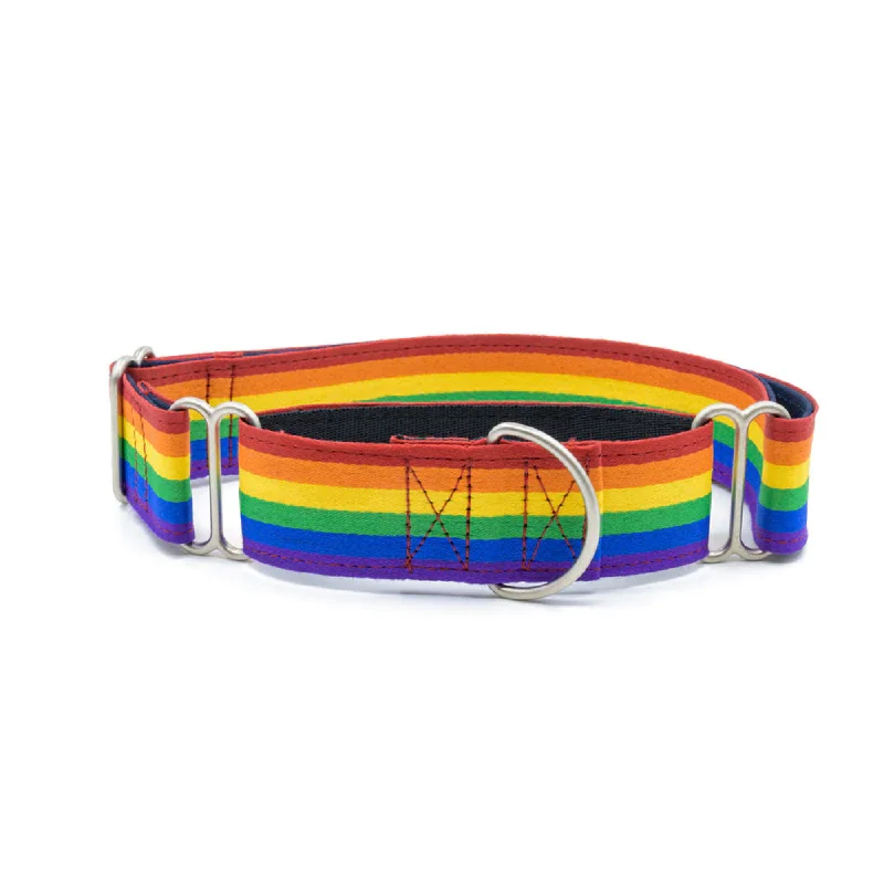 PetWale Martingale Collar for Dogs (Rainbow)