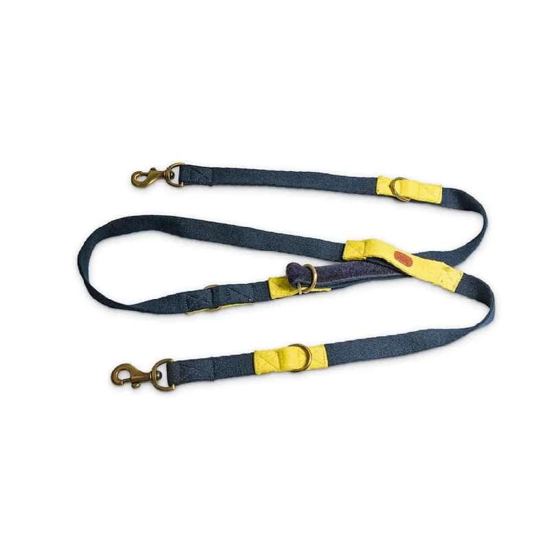 PetWale Multi Functional Leash for Dogs (Blue/Yellow)